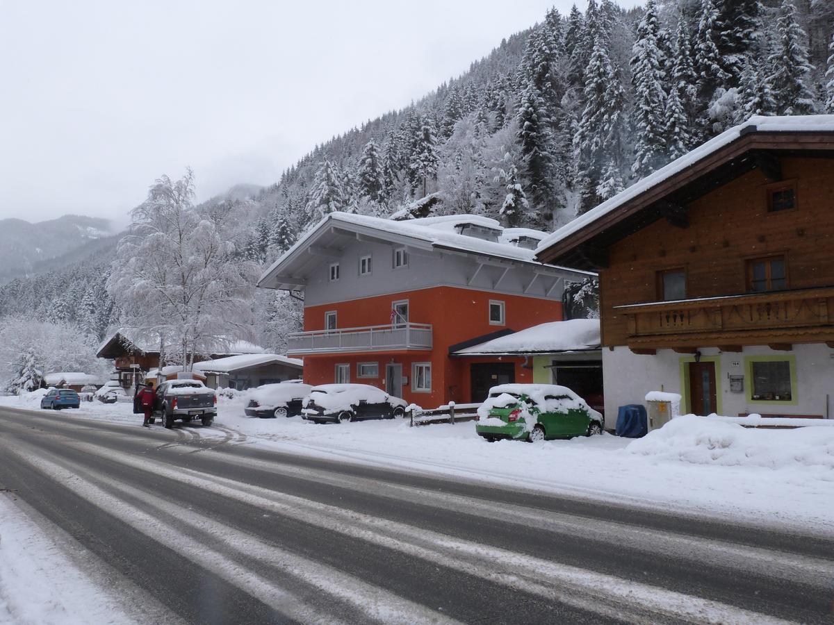 Alpen Appartements Viehhofen - Incl Sommercard Zell Am See Viehhofen Zewnętrze zdjęcie