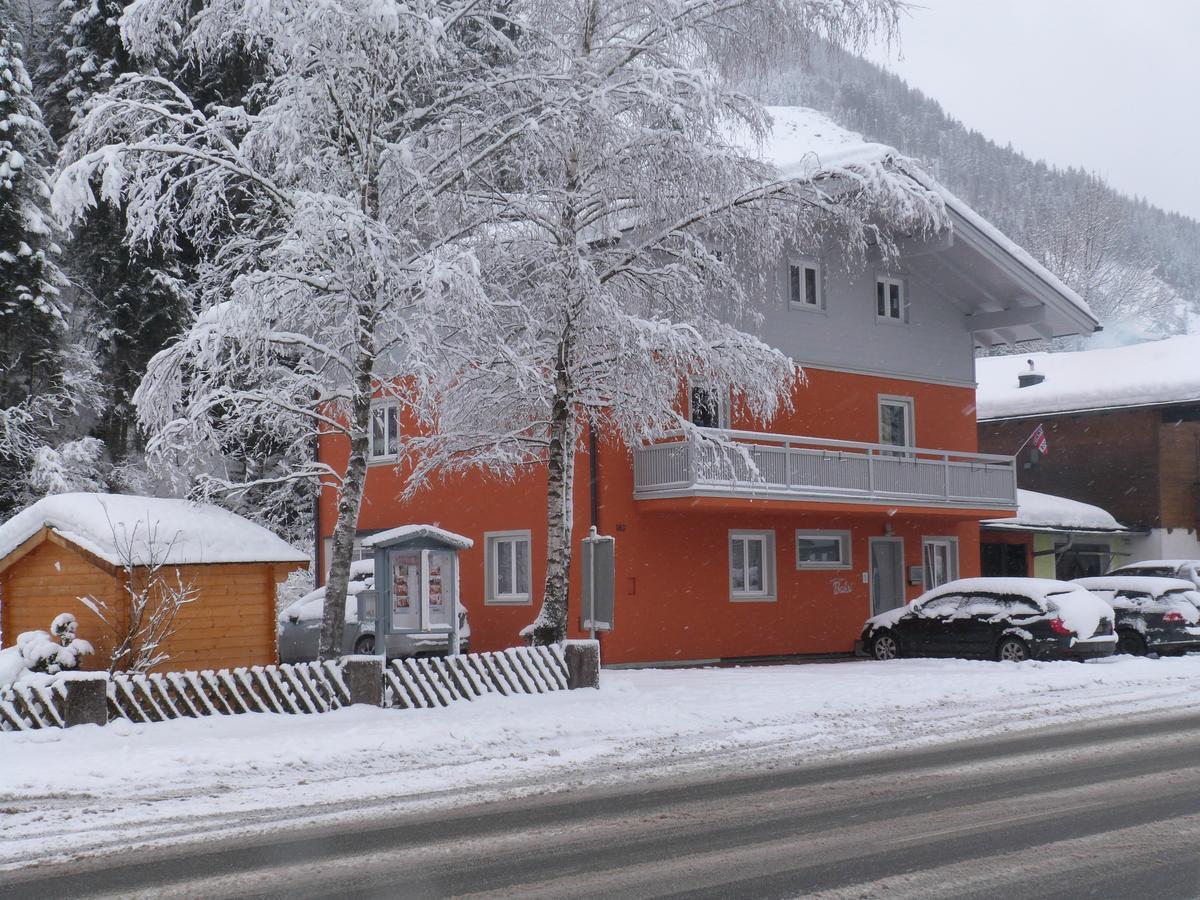 Alpen Appartements Viehhofen - Incl Sommercard Zell Am See Viehhofen Zewnętrze zdjęcie