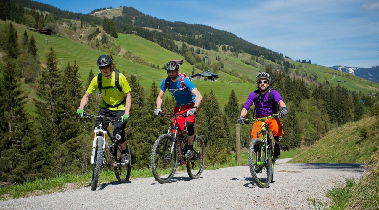 Alpen Appartements Viehhofen - Incl Sommercard Zell Am See Viehhofen Zewnętrze zdjęcie